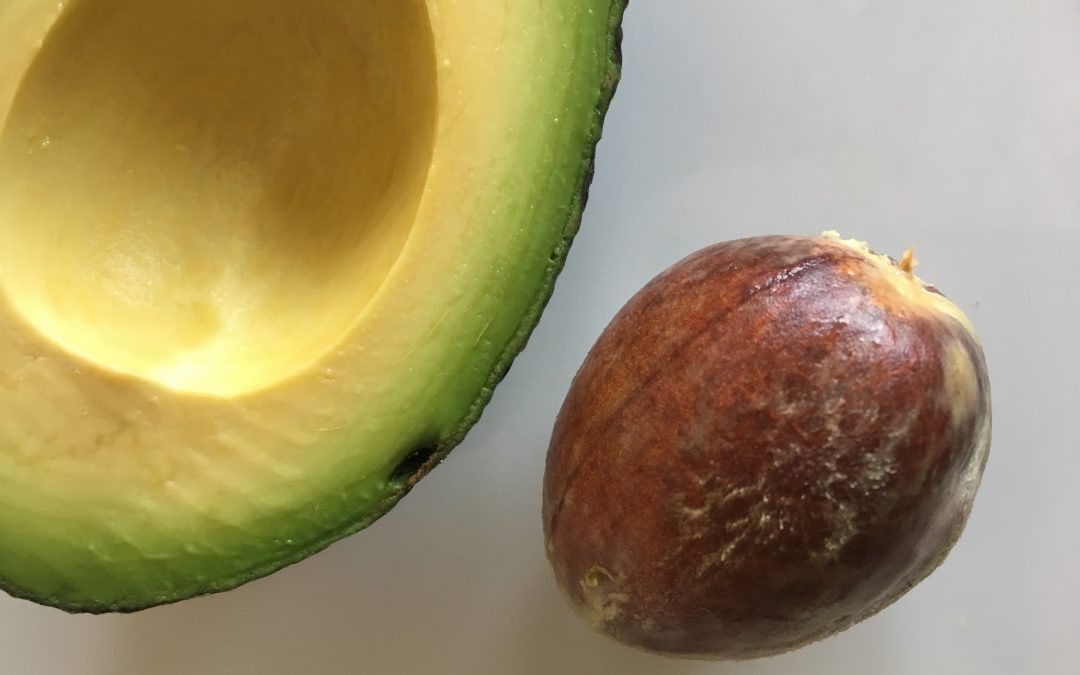 Gesundheitsprävention mit Avocadokernen